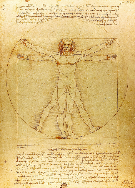 Featured image of post Homem Vitruviano Png - Desenho detalhado com base na obra de arte de leonardo da vinci, realizada por ele c.1490 por manuscrito antigo do mestre.